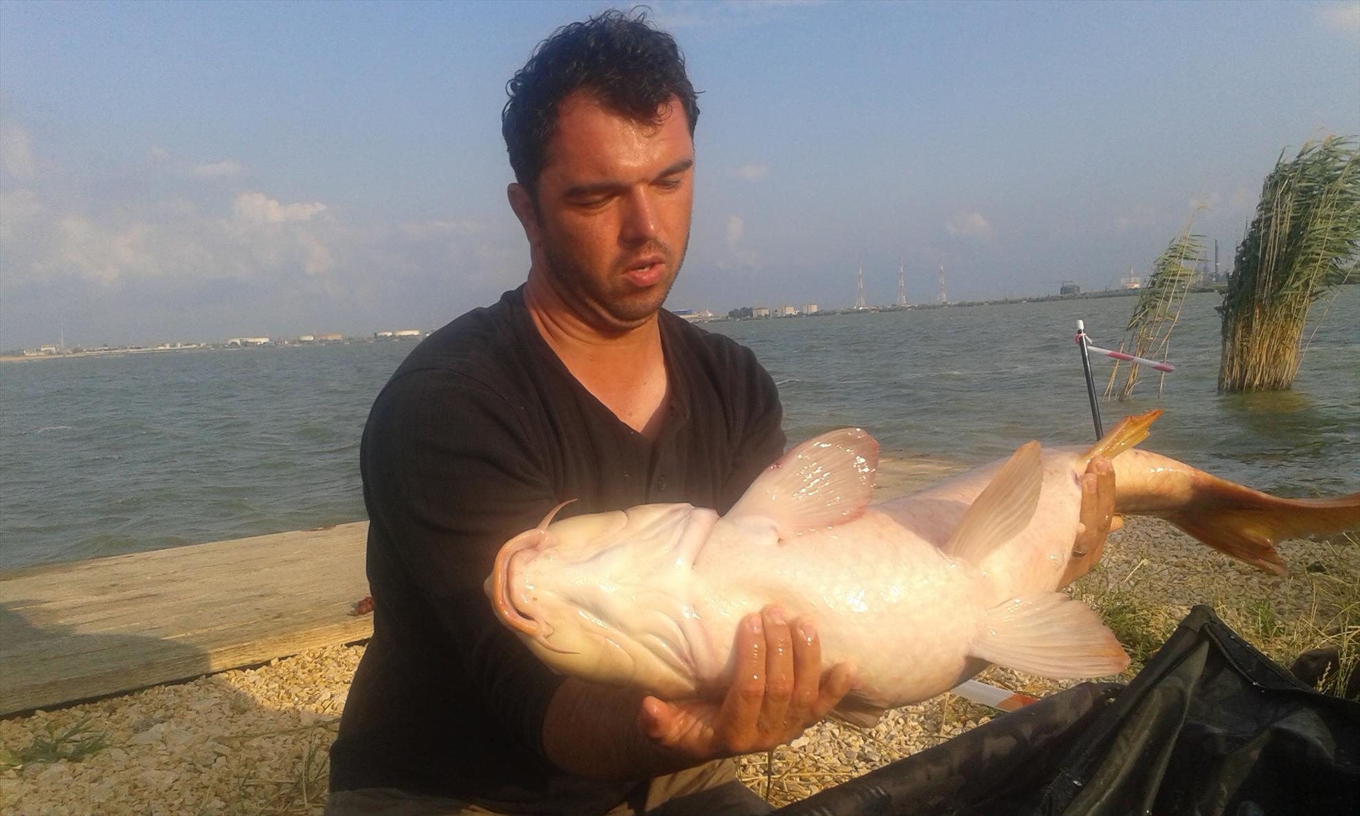 Corbu 3 - 5 iulie 2015 - 20150704185325.jpg